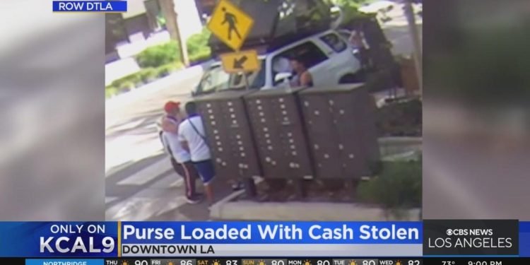 Only On: Small business owner searching for men who stole purse loaded with cash