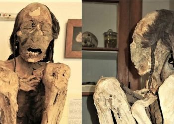 3D Technology Uncovers the Causes of Death of Three Ancient Mummies