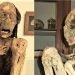 3D Technology Uncovers the Causes of Death of Three Ancient Mummies