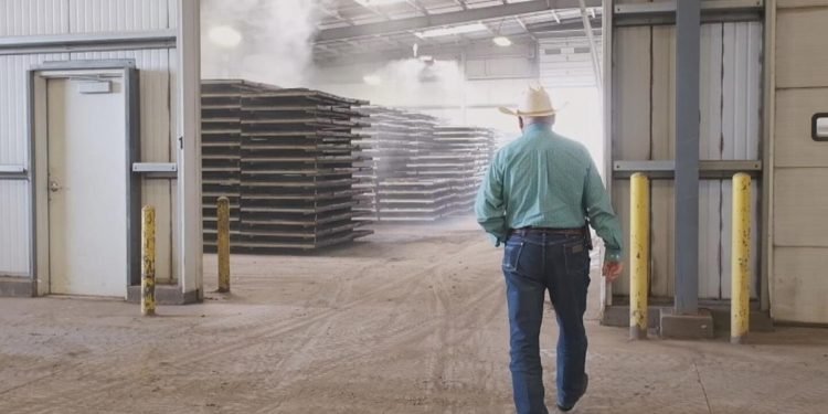 Plantel Nurseries’ growing business is … expanding | Santa Maria Chamber Spotlight | Business