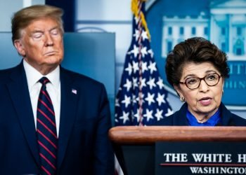 Inspector general: SBA covid aid went to small businesses abroad