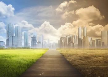 IBM named technology partner for COP27