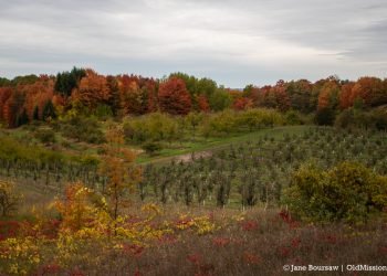 Opinion: Peninsula Township Supports Farmers and Agriculture