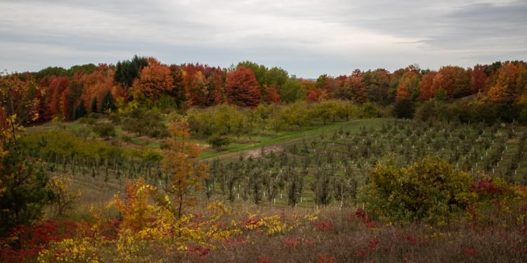 Opinion: Peninsula Township Supports Farmers and Agriculture