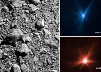 Opinion | NASA’s DART mission is cause for celebration and action