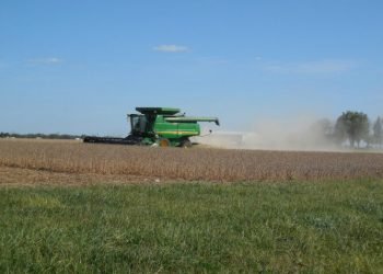 Harvest time | News, Sports, Jobs