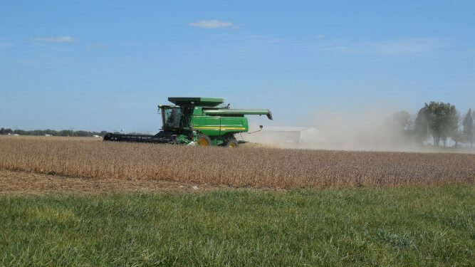 Harvest time | News, Sports, Jobs