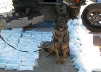 Opinion: Blue-Chip Firms Must Be Held Accountable for Their Role in Calexico’s Fentanyl Epidemic