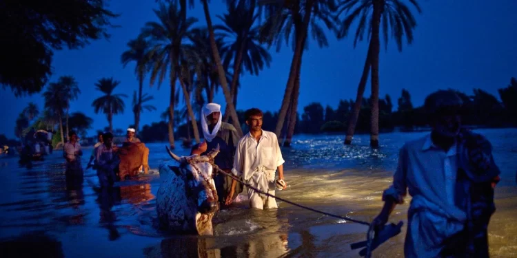 A Political Crisis Is the Last Thing Pakistan Needs