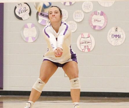 Eagles sweep Cardinals | News, Sports, Jobs