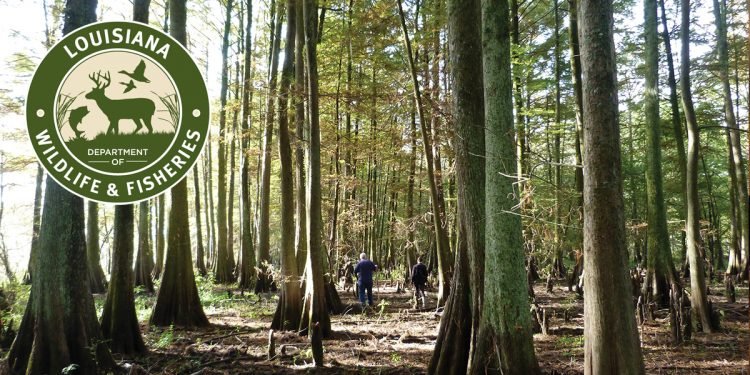 Oyster Task Force Health Committee to Meet Tuesday, September 20