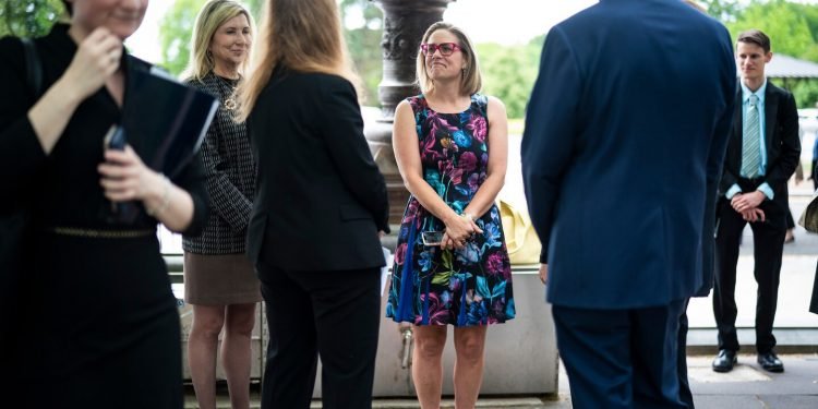 Sinema, McConnell and the upside down politics of Arizona