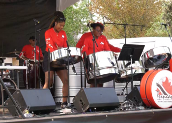 ‘Why not bring the vacation here?’: Caribbean culture on display