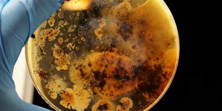 As Food Recalls Mount, Experts Urge Food Safety ‘Culture’ Change