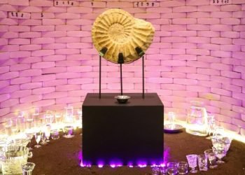 Contemporary Brazilian art show Social Fabric highlights Brazilian politics, cultural awareness – The Daily Texan