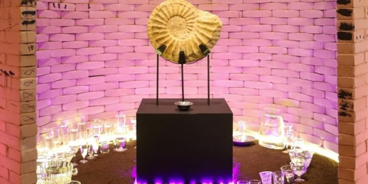 Contemporary Brazilian art show Social Fabric highlights Brazilian politics, cultural awareness – The Daily Texan