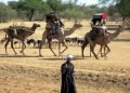 Chad’s Nomadic Culture and Mobile Education