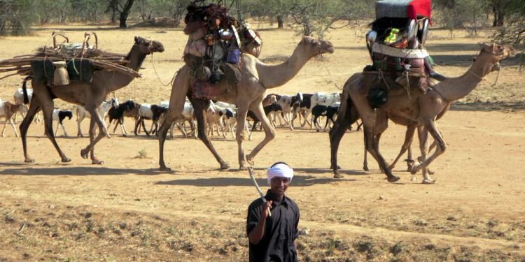 Chad’s Nomadic Culture and Mobile Education