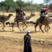 Chad’s Nomadic Culture and Mobile Education