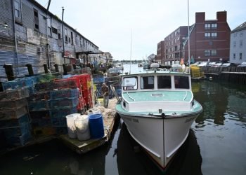 Letter to the editor: How about letting lobstermen go about their business