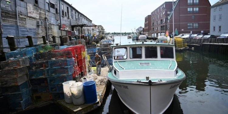 Letter to the editor: How about letting lobstermen go about their business