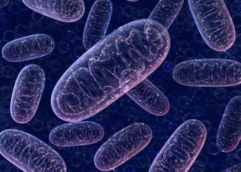 New technology for producing oxygen within cells