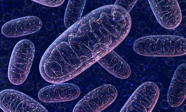 New technology for producing oxygen within cells