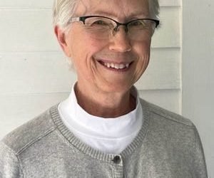 Logging our forests a no-brainer? Not so fast