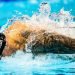 FINA To Allow Wearable Technology in Races Starting Jan 1st 2023