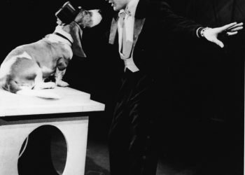 Halloween costumes based on pop culture that will be popular this year