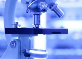 Light-Seq technology for barcoding and deep-sequencing selected cell populations in tissues