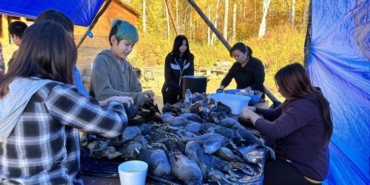 Learning culture and tradition on the land