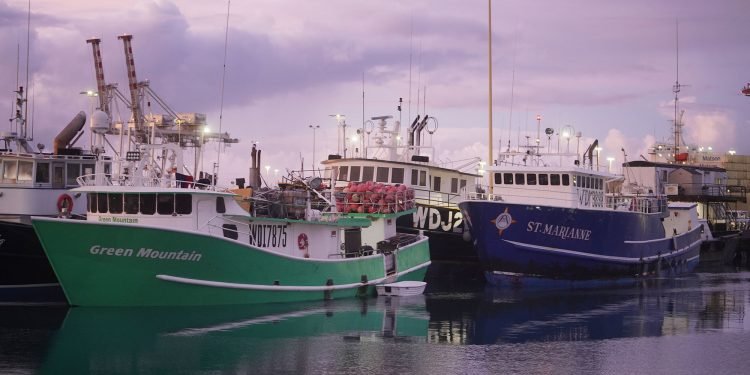 Partisan Politics Threaten To Sink Reform Of Federal Fisheries Law