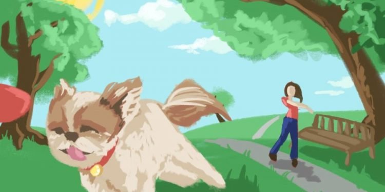 Summer is a success and fall is a fail – The Sunflower