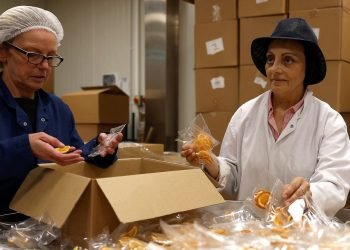 Analysis: UK crisis forces ‘off kilter’ businesses to halt investment