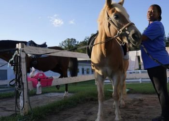 As suicides rise, US military seeks to address mental health