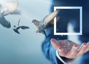 How to create an entrepreneurially oriented culture